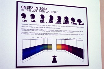 Sneezes 2003 installed at Lakeside Arts Centre in Nottingham in 2004