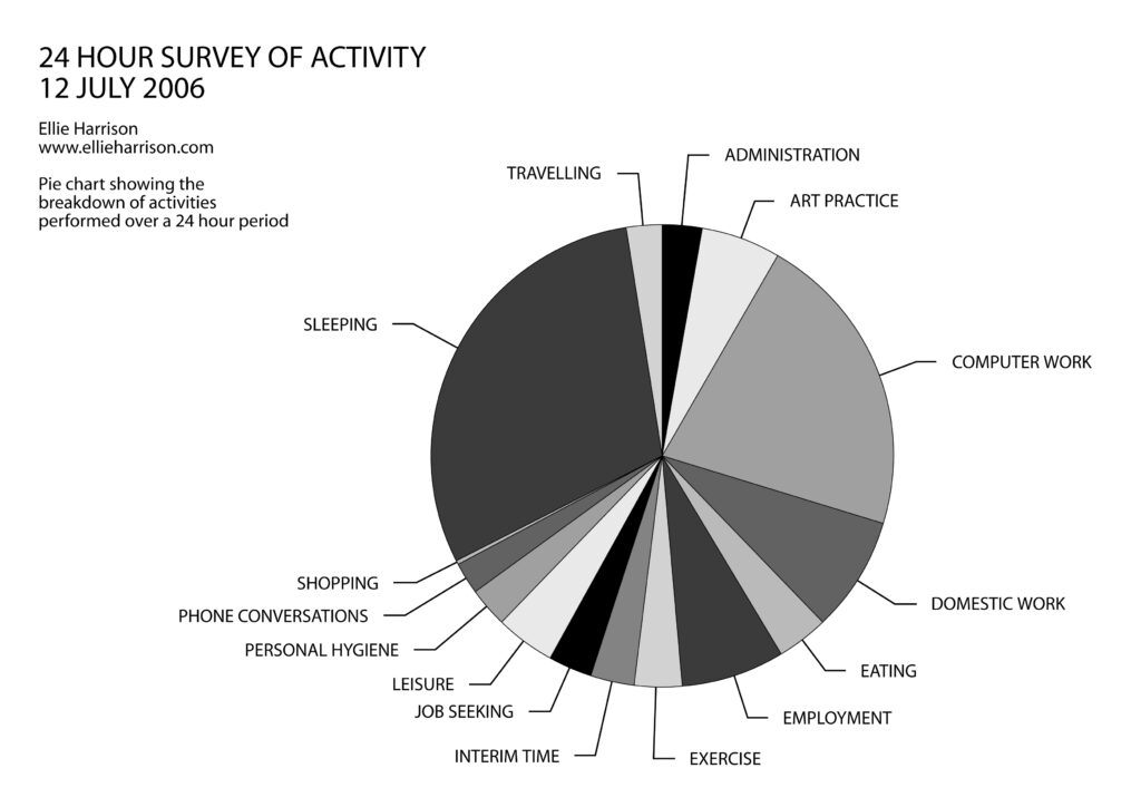 24 Hour Survey of Activity