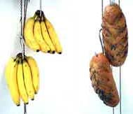 MASS = ENERGY = TIME AT COLONY GALLERY